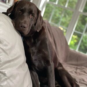 Meet your Posher, Leigh